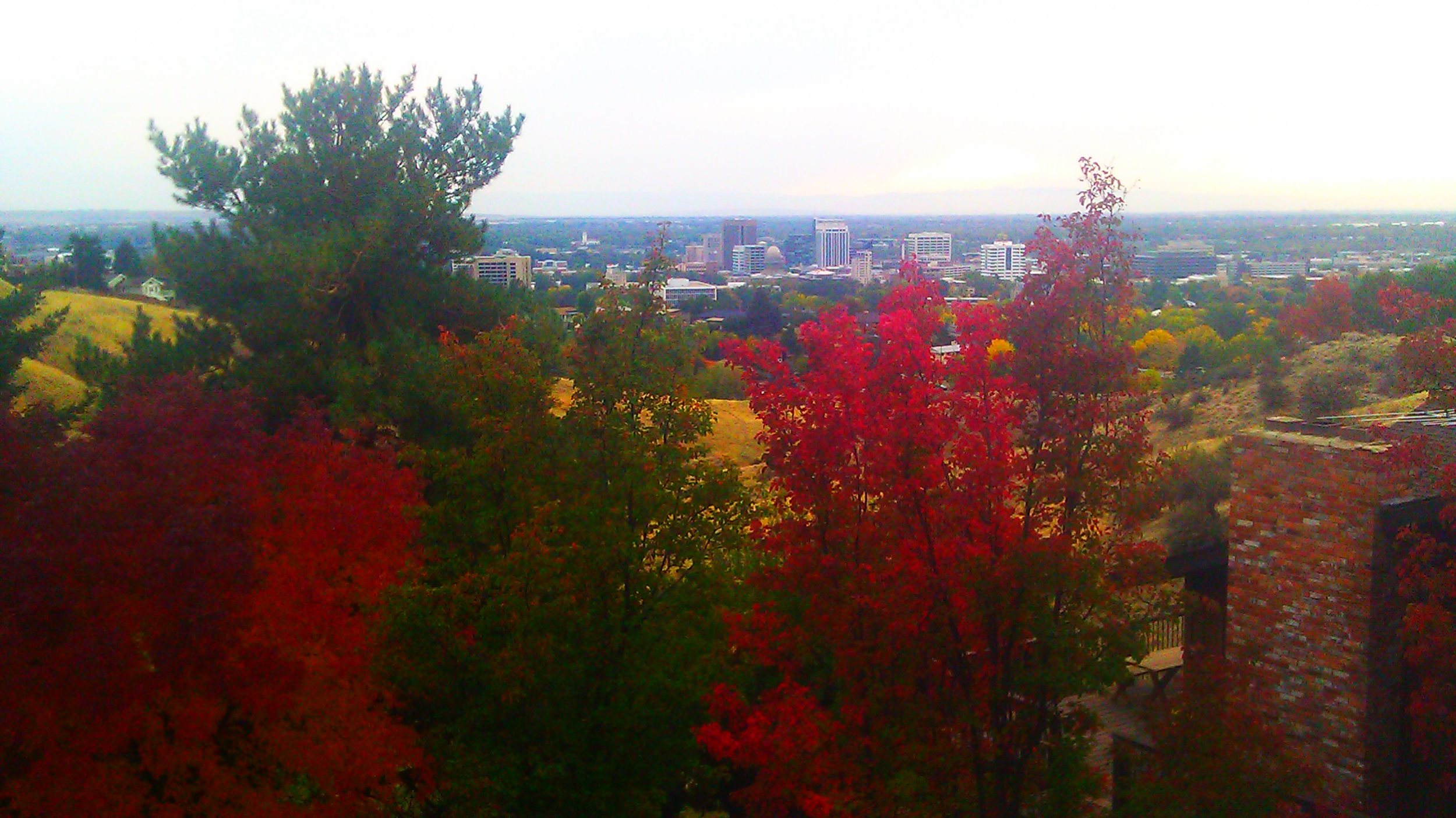 Boise skyline and foothills in autumn