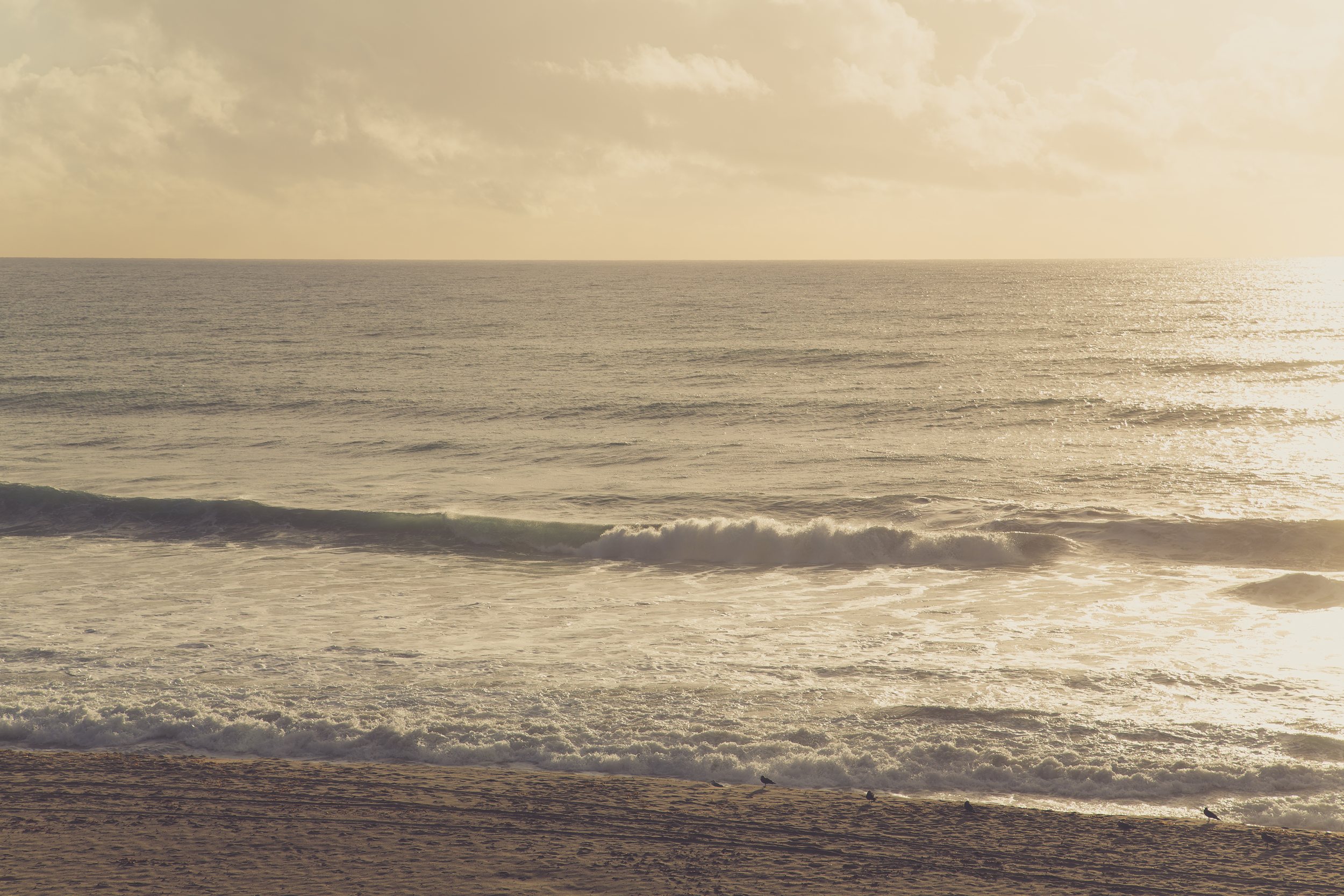 Waves and coastal bluffs at Carlsbad Beach, California