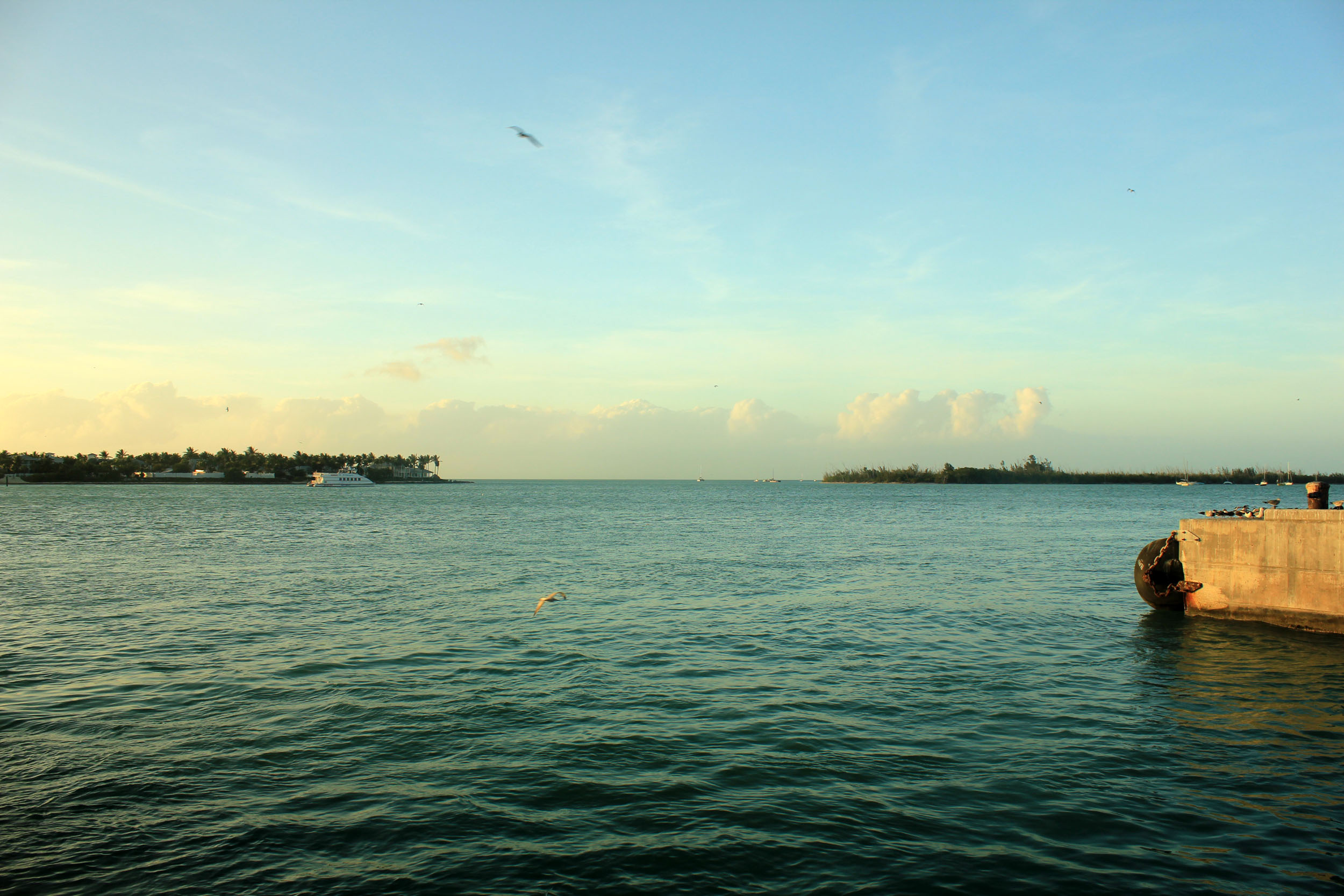Key West harbor and waterfront buildings near sunset